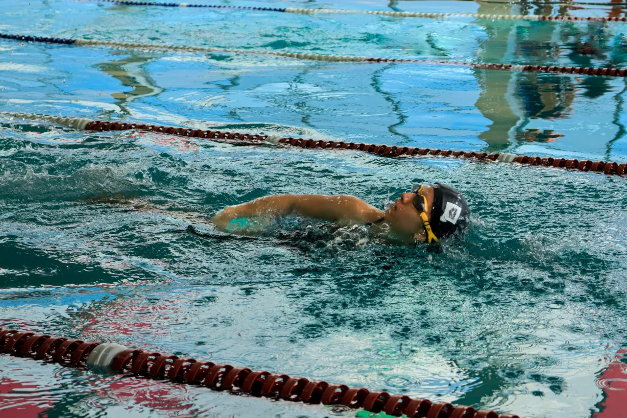 Nadador practicando crol en piscina cubierta
